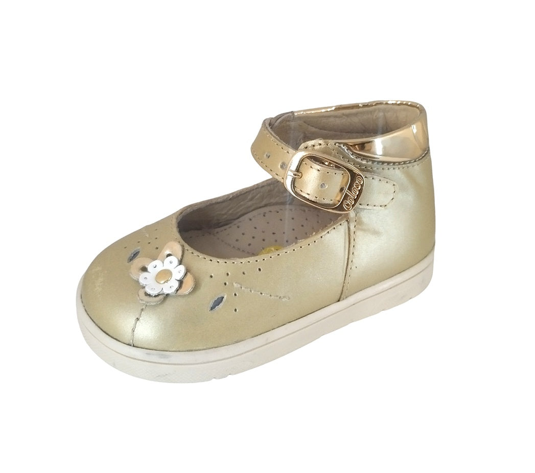 COLOSO 932-04 Color: ORO CASUAL