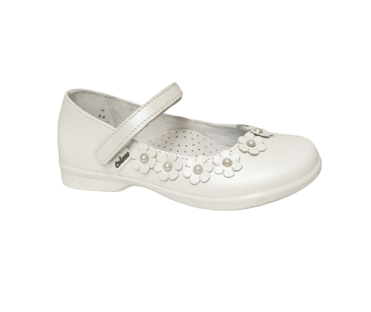 COLOSO 13232-1 Color: BLANCO NACARADO FORMAL