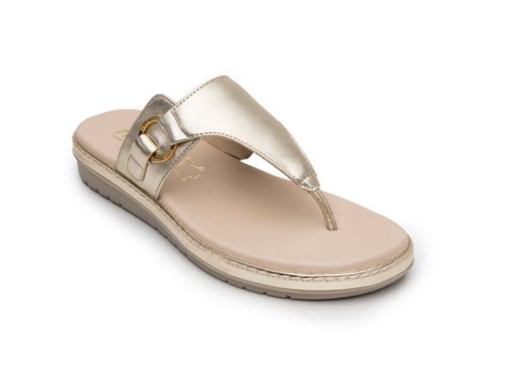 FLEXI 100231 Color: ORO CASUAL