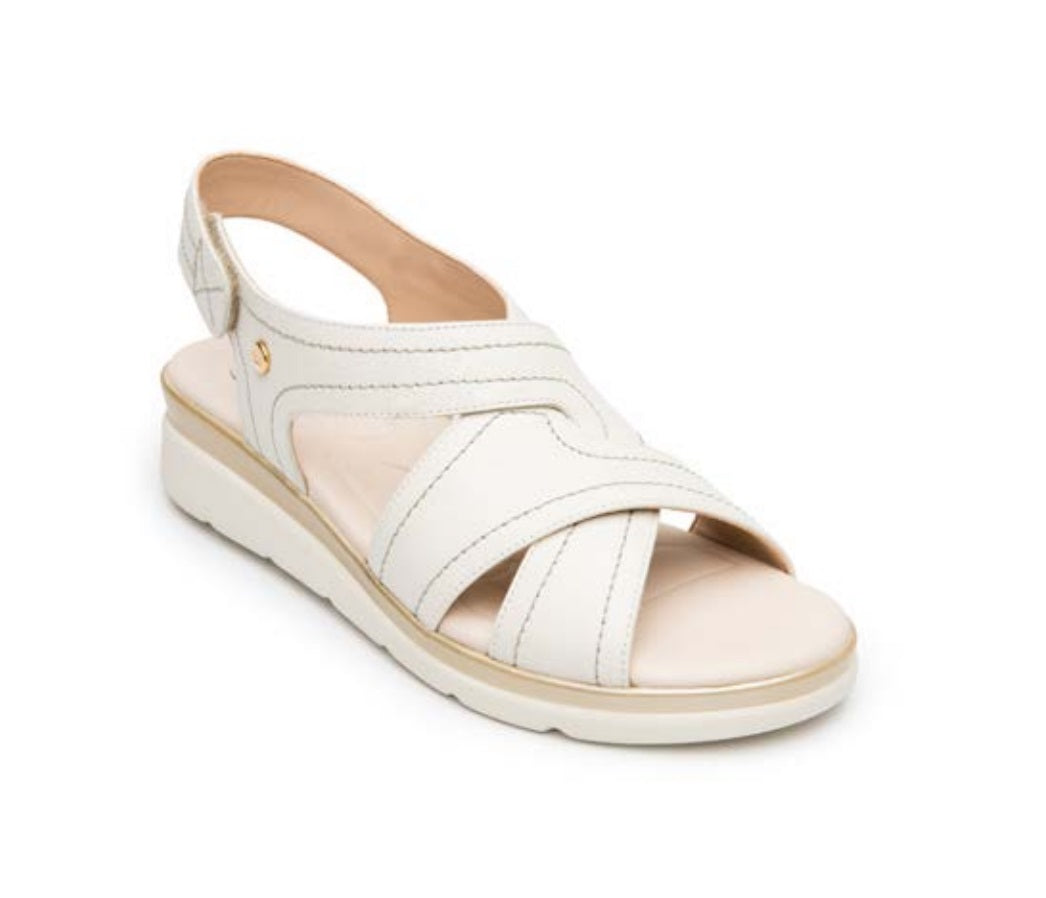 FLEXI 124215 Color: ALGODON CASUAL