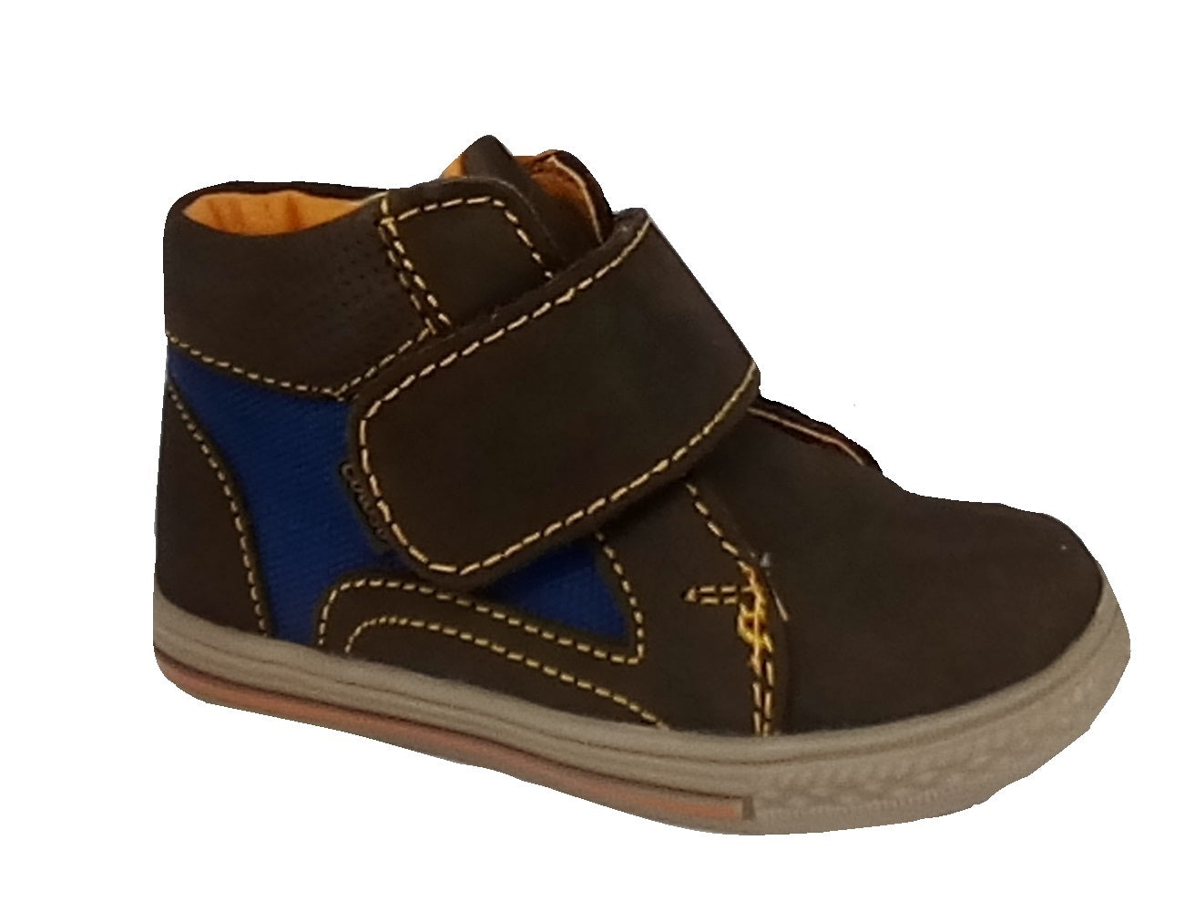 COLOSO 0319-2 Color: CAFE CASUAL