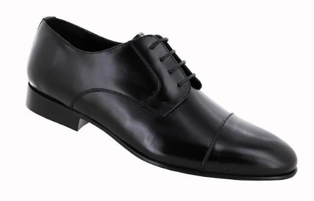 EVOLUCION 020501 Color: COLOMBA NEGRO FORMAL
