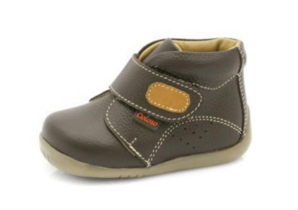 COLOSO 8779-3 Color: SHEDRON