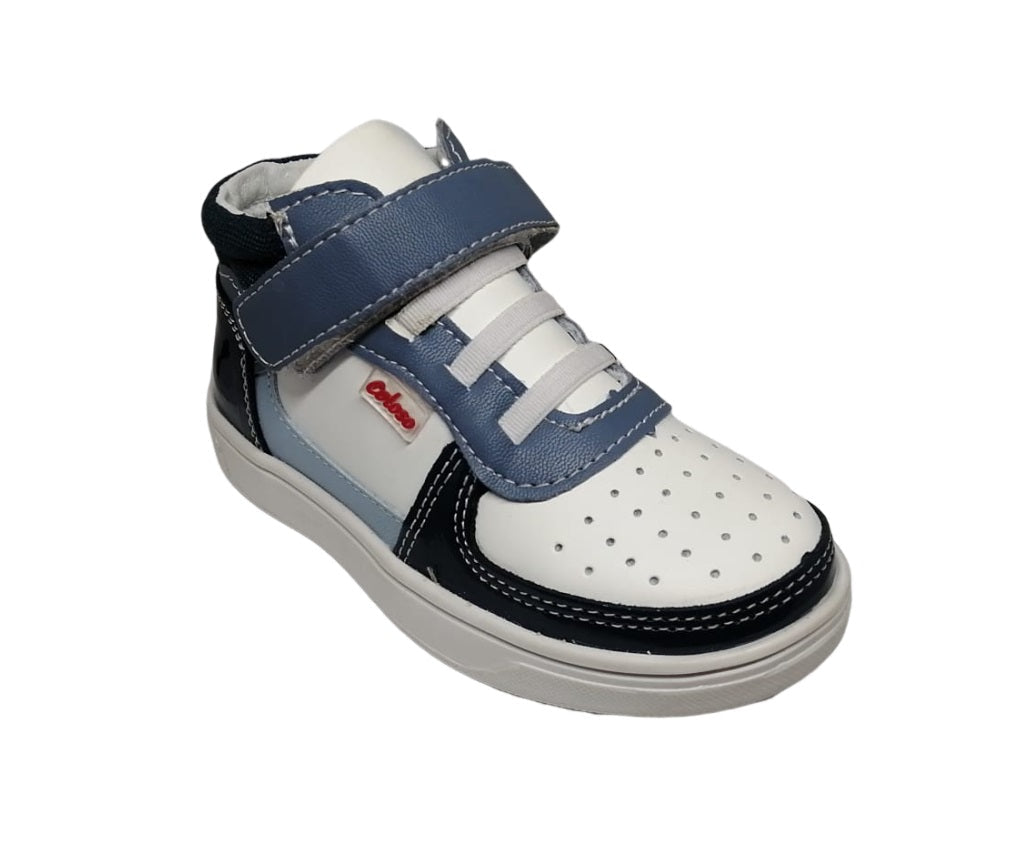 COLOSO 0356-2 Color: MARINO CHAROL CASUAL