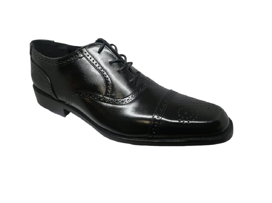 EVOLUCION 020428 Color: COLOMBA NEGRO FORMAL