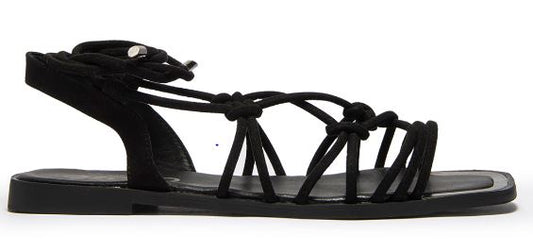 OZONO 632101 Color: NEGRO