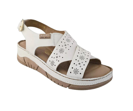 LOBO SOLO 001653 Color: VAIL MOON CASUAL