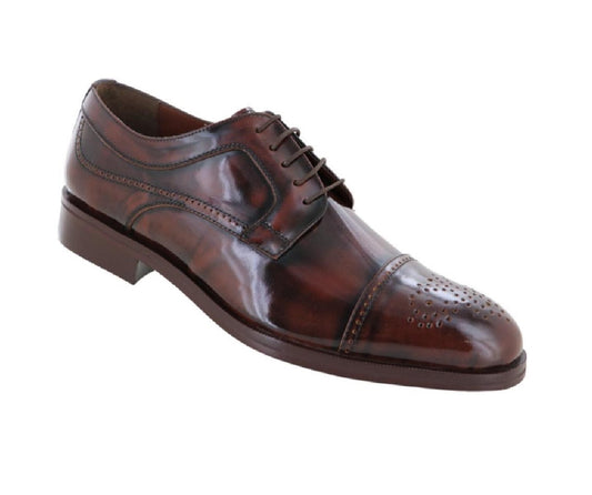 EVOLUCION 024305 Color: CAMALEON CAFE  FORMAL