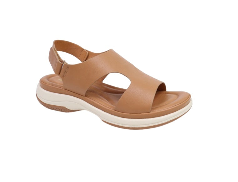 HISPANA 1612101 Color: CAFE CASUAL