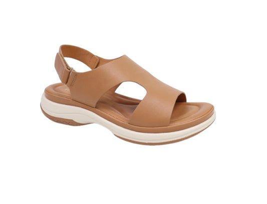 HISPANA 1612101 Color: CAFE CASUAL