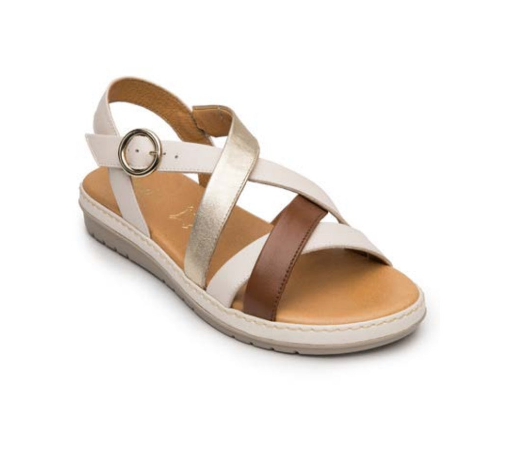 FLEXI 100238 Color: MULTICOLOR CASUAL