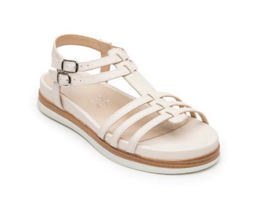 FLEXI 140101 Color: ALGODON CASUAL