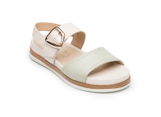 FLEXI 140102 Color: MATCHA CASUAL