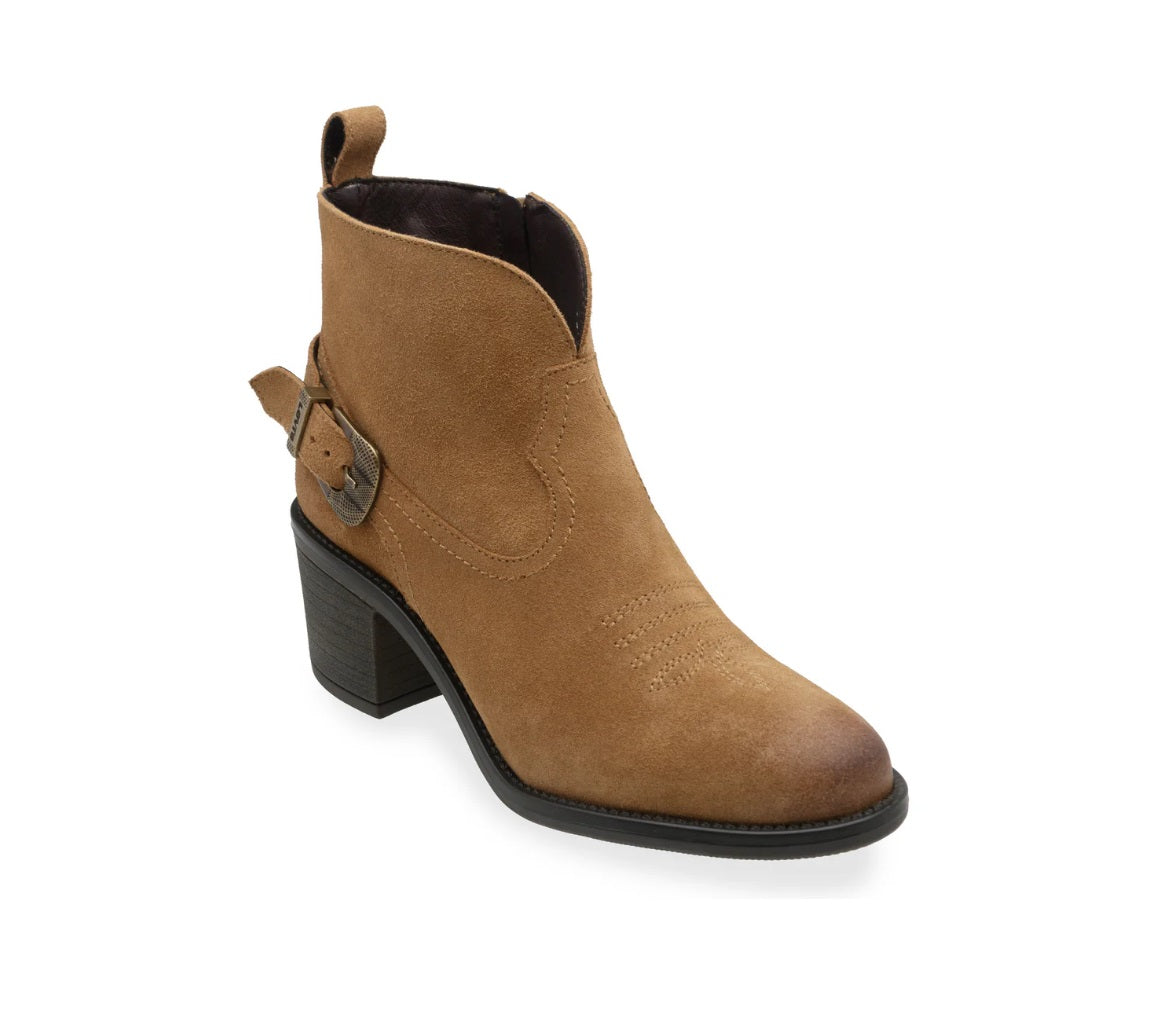 LEVIS L1126164 Color: MIEL CASUAL