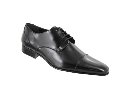EVOLUCION 020616 Color: COLOMBA NEGRO FORMAL